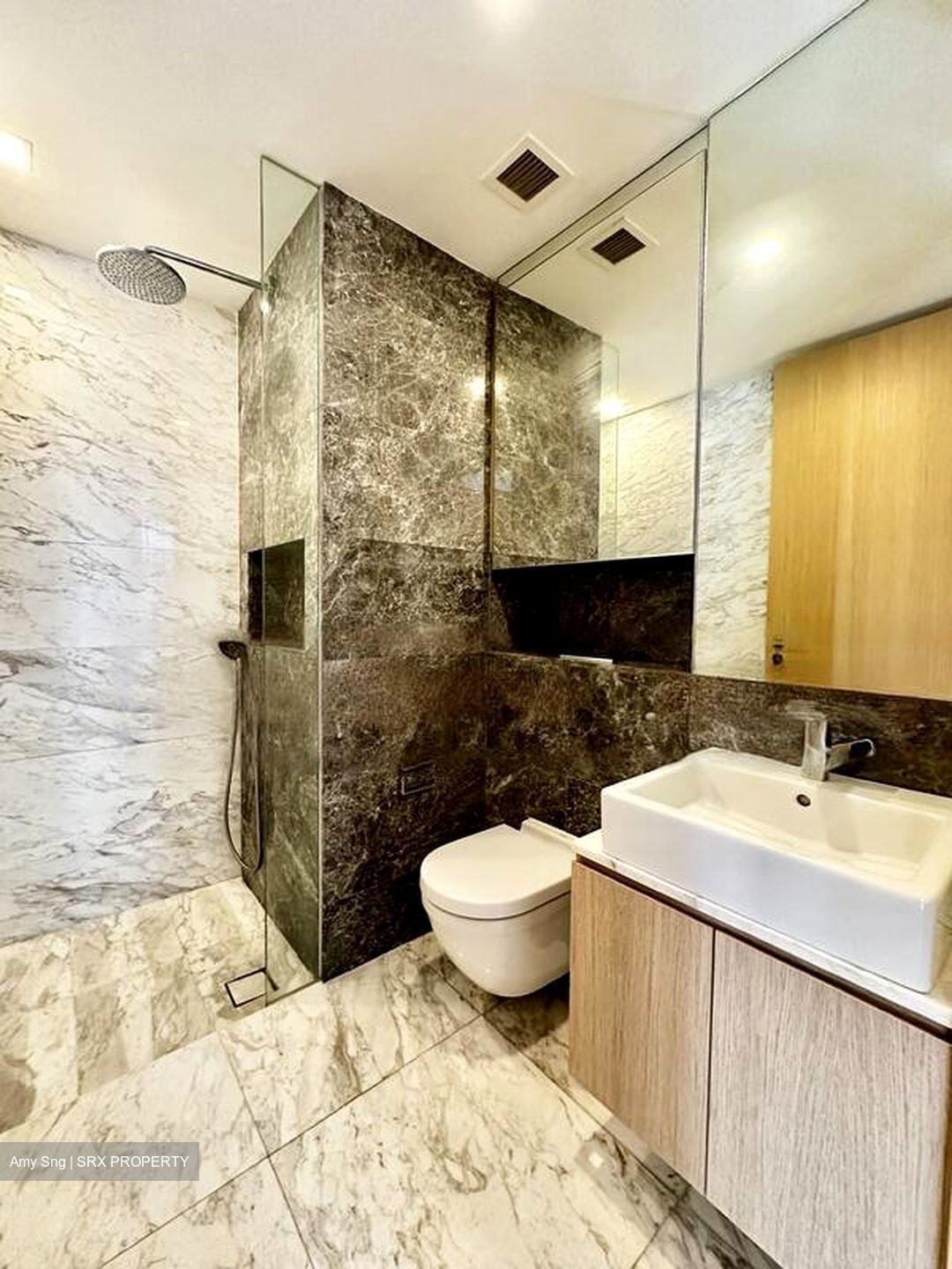 The Peak @ Cairnhill II (D9), Apartment #469103031